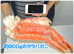 kanigihutoboryu