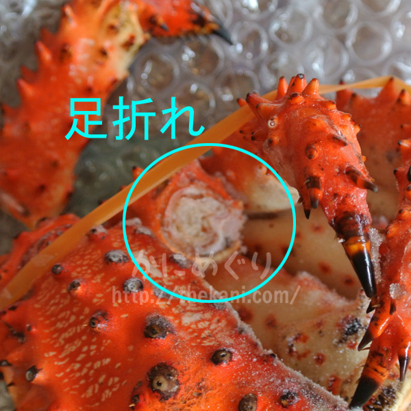花咲ガニ 旬の時期はいつ 美味しいカニを探しに北海道釧路へ かにめぐり 花咲ガニ 旬の時期はいつ 美味しいカニを探しに北海道釧路へ かにめぐり