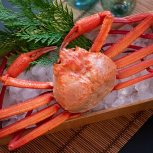 ズワイ（2025）実測・信頼性レビュー【表記値ベース版】