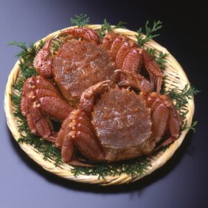 毛ガニ（2025）実測・信頼性レビュー【表記値ベース版】