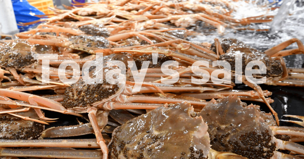 【2025冬・随時更新】カニ通販セール速報｜激安・訳あり・期間限定のお得情報