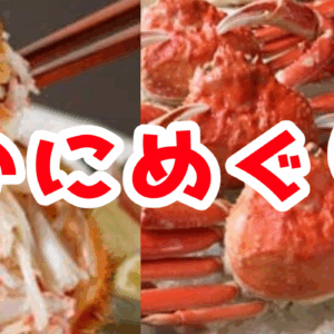 生カニの美味しい調理方法（茹で方、蒸し方）冷凍カニの失敗しない解凍方法まで