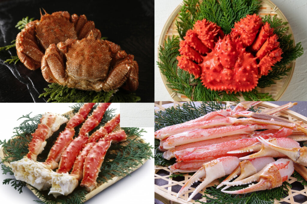 【2025年版】商品別 価格×信頼ランキング|ズワイ/タラバ/毛ガニ/姿・ポーション